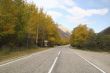 Empty asphalt road, trees with yellowed leaves