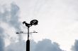 weather vane on