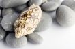 Natural spa elements- seashell with starshell and stones on whit