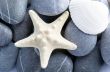 Natural spa elements- seashell with starshell and stones on whit