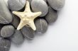 Natural spa elements- seashell with starshell and stones on whit