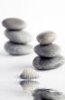 Natural spa elements- seashell with starshell and stones on whit