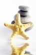 pile of stones and sea star closeup on white background