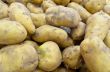 Raw potato tubers
