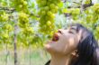 Women eating green grapes in vineyard