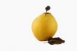 Quince and Leaf