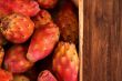Many cactus pear or nopal