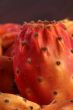 Nopal Macro on the wood