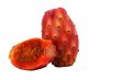 Nopal cut cactus white background