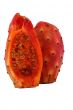 Nopal cut cactus white background