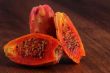 Half cactus pear or nopal