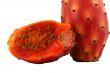 Nopal Macro Cut