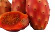 Nopal cut cactus white background