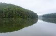 Nature landscape at dawn of lakes and pine forests