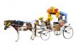 Horse Carriages isolated on white background