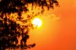 Silhouette sunset