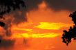 Orange sky
