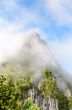 Lush high mountains covered by mist