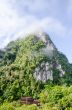 Lush high mountains covered by mist