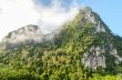 Lush high mountains covered by mist