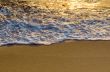 Beach at sunrise