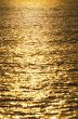 Water surface gold