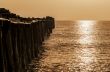 Old wooden bridge at sunrise with sepia