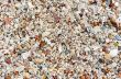 Old Shells and stone on the beach
