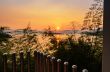 High angle view beautiful lake at sunset from resort