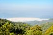 High mountain and fog in the morning