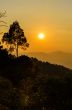 Golden light of sunset