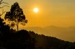 Golden light of sunset