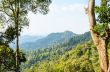 High angle view forest mountain and sky