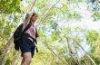 Hiker in forest
