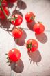 cherry tomatoes