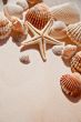 sea shells and star 