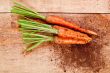 fresh carrots bunch