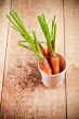 fresh carrots bunch in white bucket 