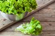 lettuce salad in metal bowl