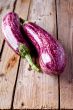 two fresh eggplants 