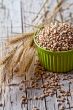 wheat grain in bowl and ears