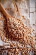wheat grain
