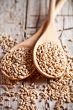 wheat grain in wooden spoons