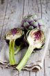fresh artichokes
