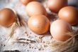  fresh brown eggs and wheat ears 