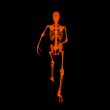 walking fire skeleton by X-rays in red 