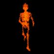 walking fire skeleton by X-rays in red 
