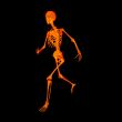walking fire skeleton by X-rays in red 