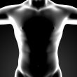3d render human body