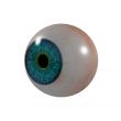3d render Eye Ball 
